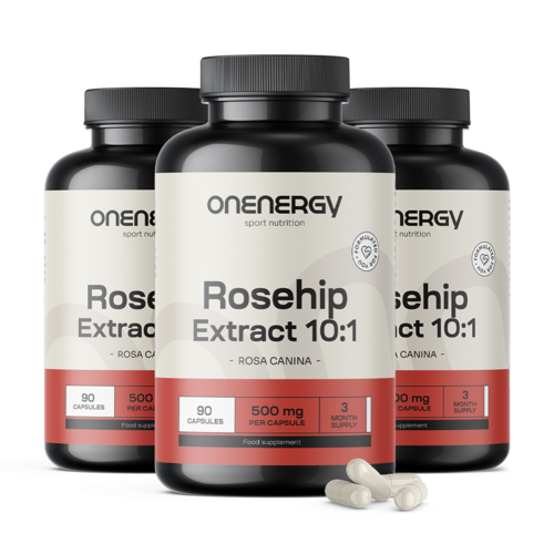 3x Rosa canina – estratto 10:1, totale 270 capsule